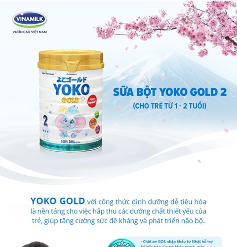 sua-yoko-gold-2